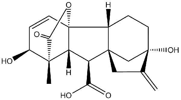 赤霉素GIBBERELLIC ACID，居然有這么神奇？