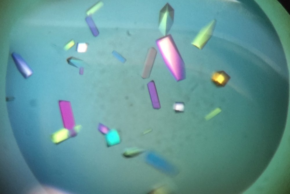 A Complete Beginner's Guide to Protein Crystallization Research: Easily Embark on a Journey of Life Science Exploration A Complete Beginner's Guide to Protein Crystallization Research: Easily Embark on a Journey of Life Science Exploration