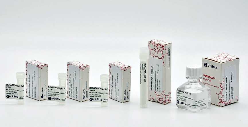 New Product Launch | DENARASE? High Salt: High Salt-Tolerant Universal Nuclease New Product Launch | DENARASE? High Salt: High Salt-Tolerant Universal Nuclease